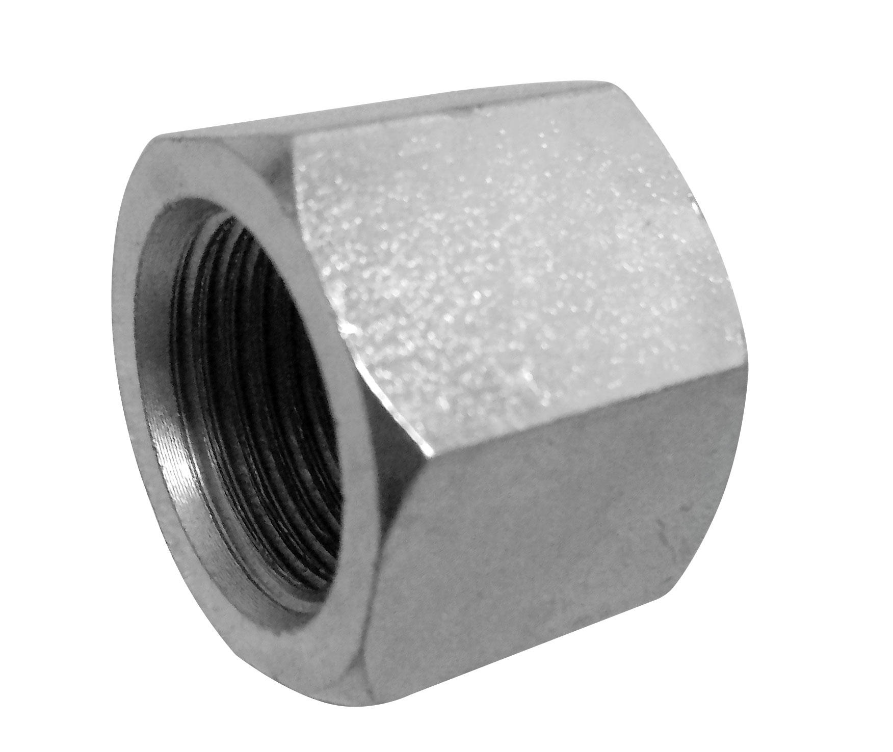 TAMPÃO FÊMEA FIXO JIC UNF