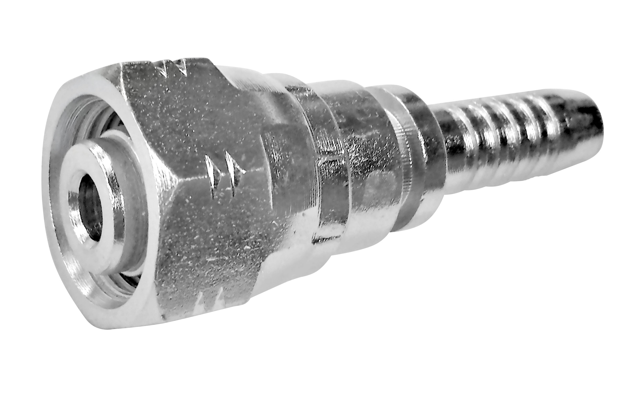 FÊMEA GIRATÓRIA WAP